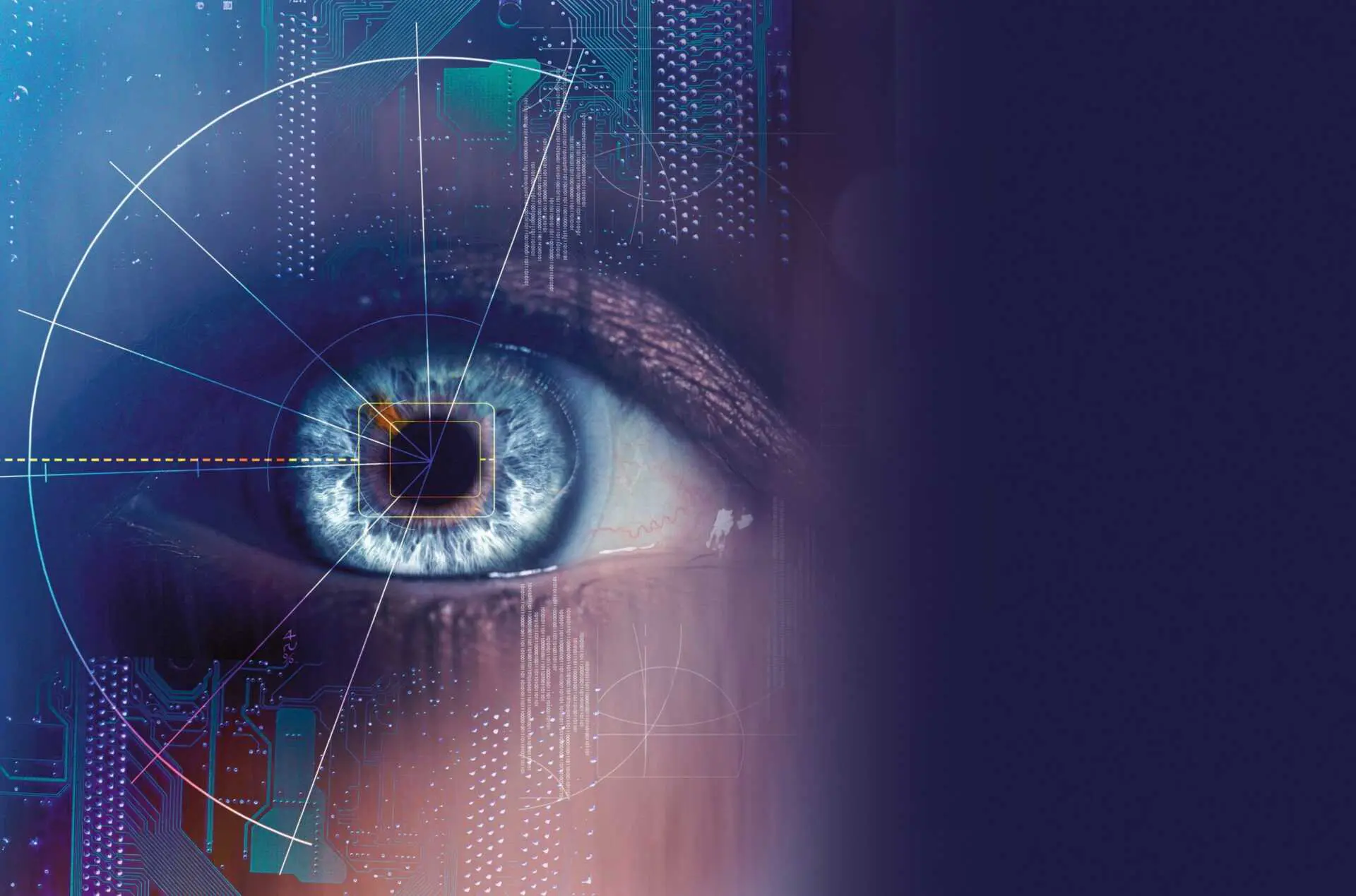 Le changement de la perception, une vision un peu floue.