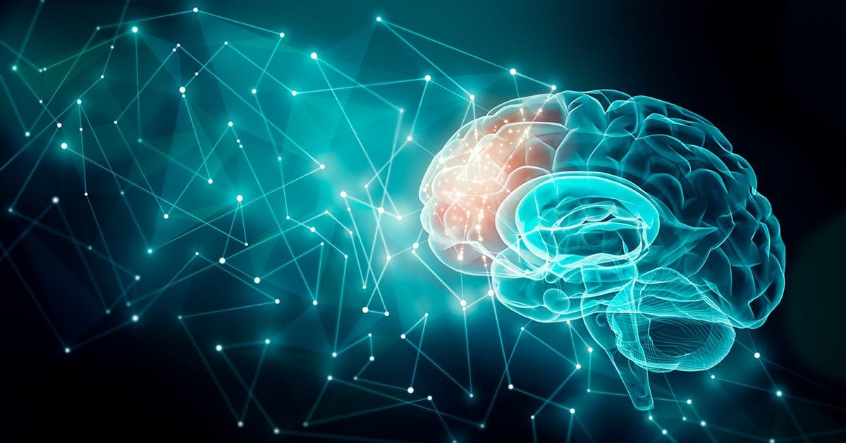 Human brain activity with plexus lines.. External cerebral conne Les substances chimiques libérés par le cerveau influence le comportement.