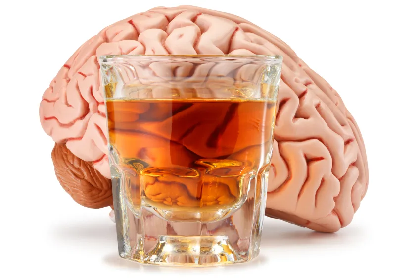 La consommation excessive et sur le long terme de l'alcool cause des dommages sur le cerveau.