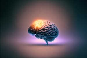 Le cerveau retrouve une pleine capacité cérébrale.