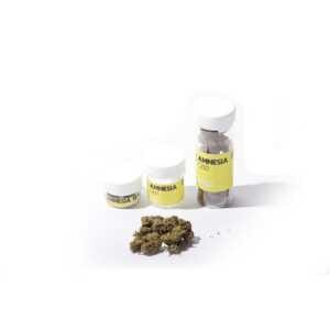 L'amnesia: la drogue la plus consommé même à des fins médicales.