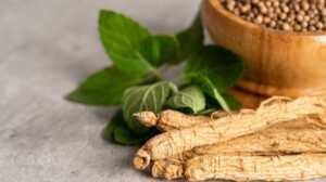 82 Le ginseng indien a plusieurs vertus pour le bien-être, ainsi qu'au cours d'un sevrage.