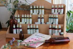 IMG_8043-1024×683 Les fleurs de Bach sont disponibles en pharmacie et boutique de diététique.