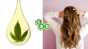 Profitez_d_un_produit_a_-30_pour_2_produits_achetes_-23 De L'huile de CBD pour le soin capillaire.