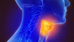 Le cancer du larynx est l'une des maladies que peut entrainer le tabagisme.