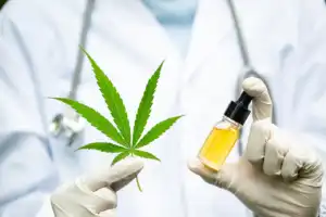 L'usage du cannabis à des fins médicales.