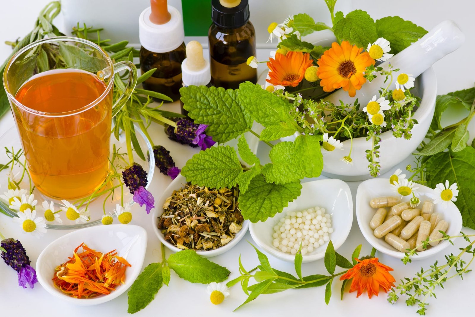 naturopathe-phytotherapeute-qui-fait-quoi-de04c2ba7df114fc Comment agit-il?