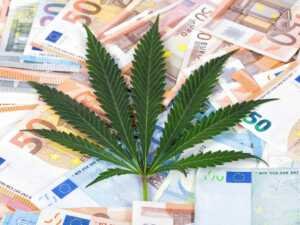 Le commerce de cannabis génère beaucoup d'argent.