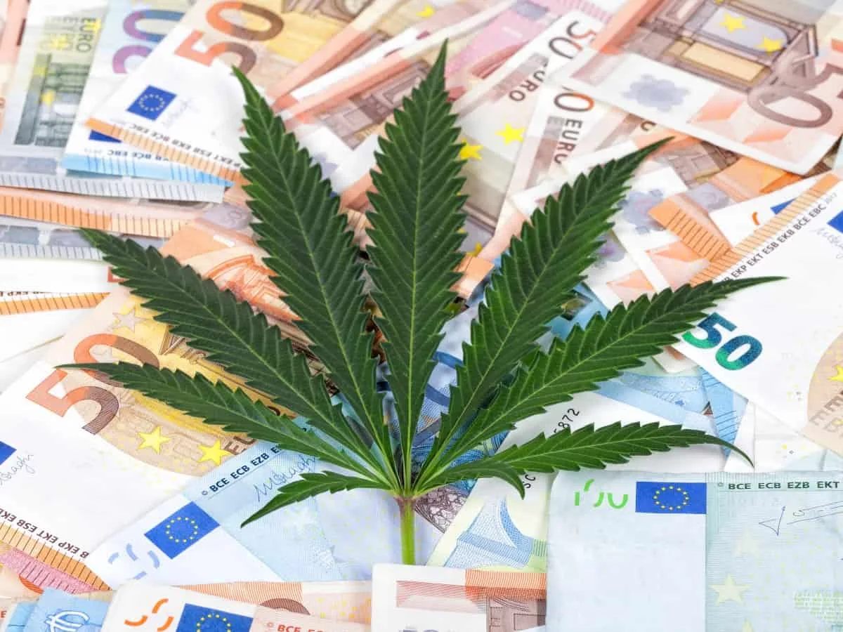 symbolbild_cannabis-preisberechnung Le commerce de cannabis génère beaucoup d'argent.