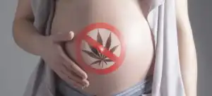 La consommation de cannabis est dangereux durant la grossesse.