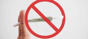 Arrêter la consommation de cannabis et garder le contrôle.