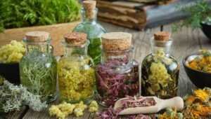 1200x680_sc_241035968-106213128460099-1230645497703236751-n Des plantes naturelles en guise de traitement thérapeutique.