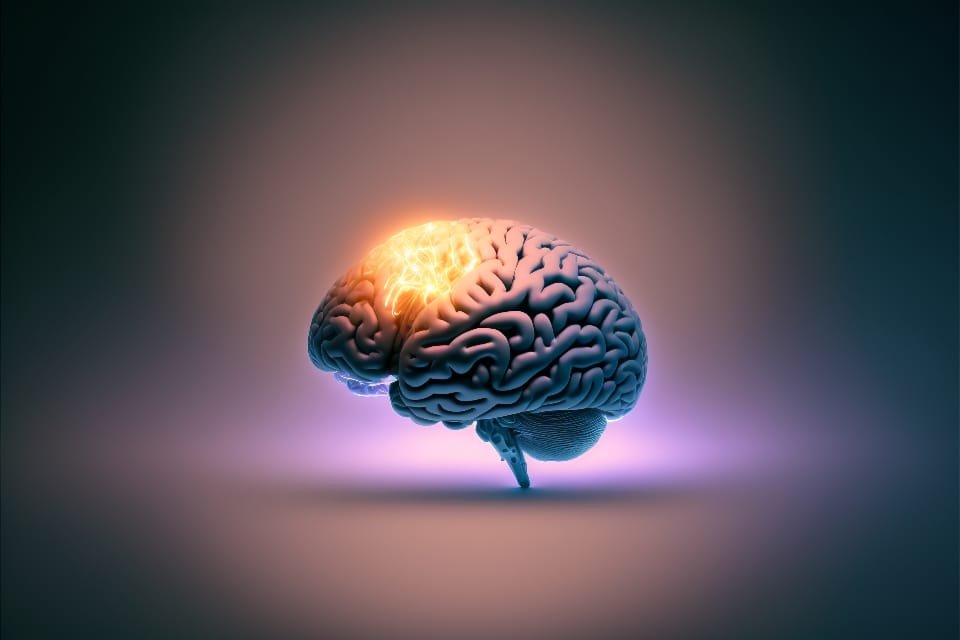 idea-brain_5NLKT00MVB Le bon fonctionnement cérébrale.