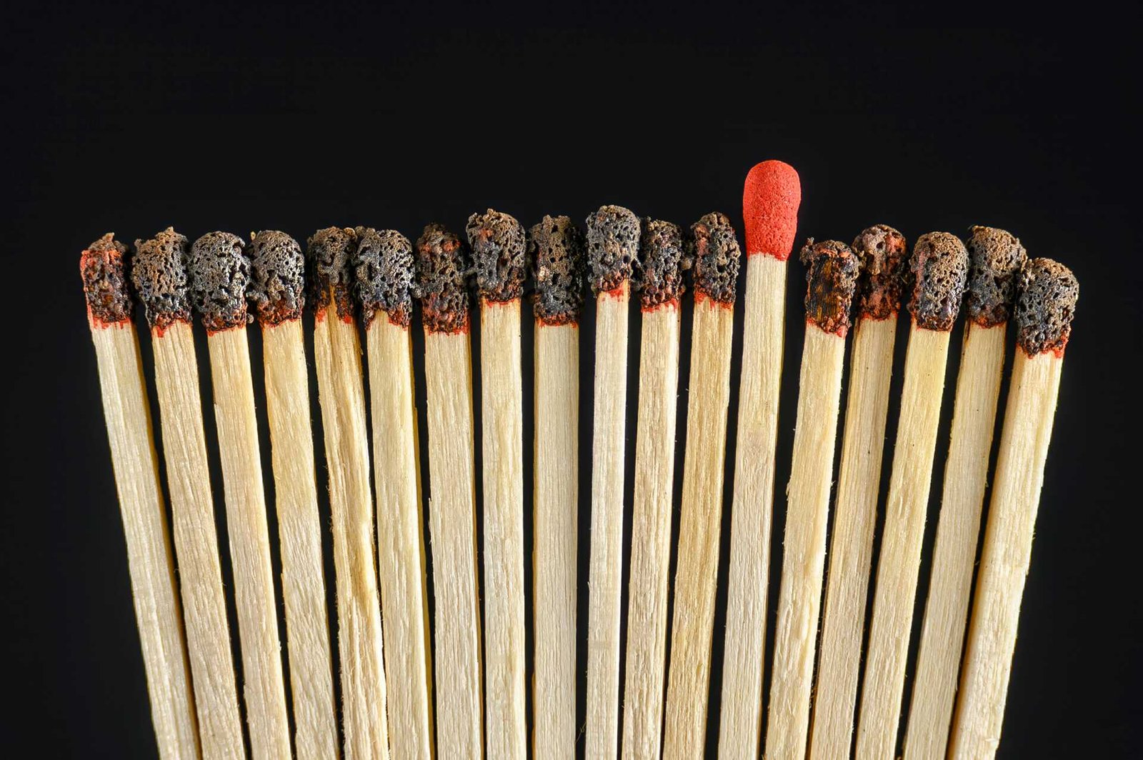 pexels-christopher-welsch-leveroni-2150186467-34882903